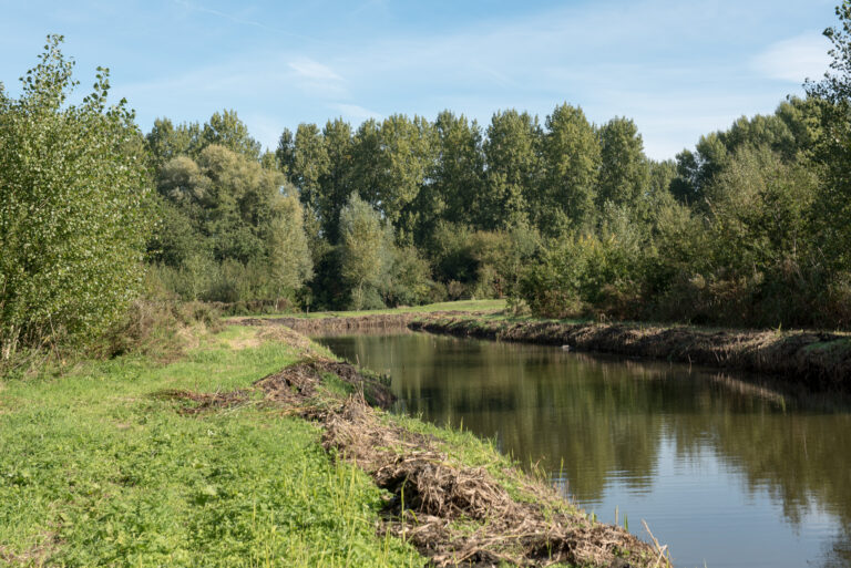 Purmerend bos