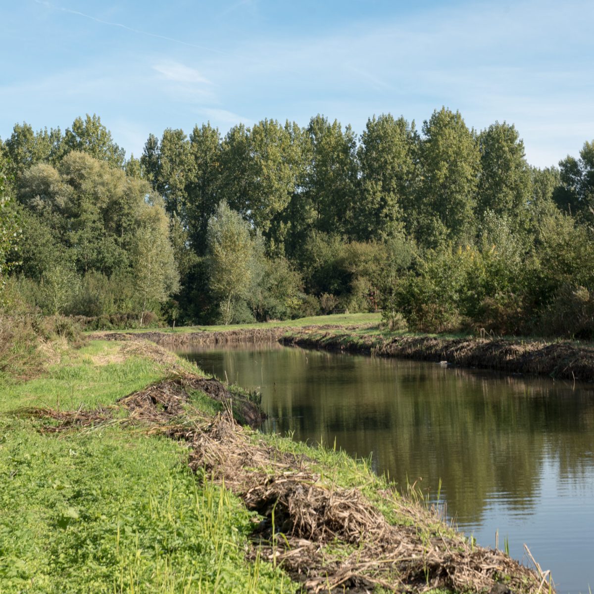 Purmerend bos